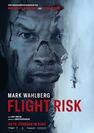 🎬 Video Flight Risk (2025)